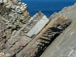 Tectonische platen